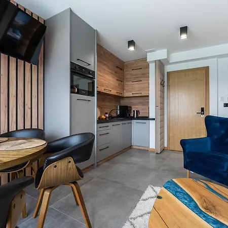 Golden Apartments Zakopane - Mountain View Exterior photo